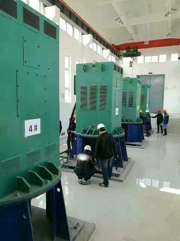 济宁某污水处理厂使用我厂的立式高压电机安装现场